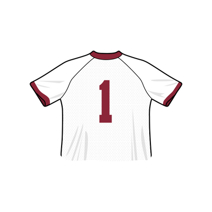 Arkansas Razorbacks Fashion Cropped Football Jersey