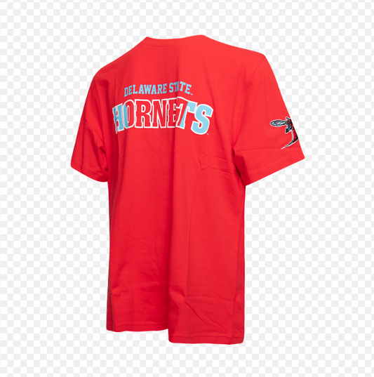 COLLEGIATE SHORT SLEEVE GRAPHIC TEE - DELAWARE - RD