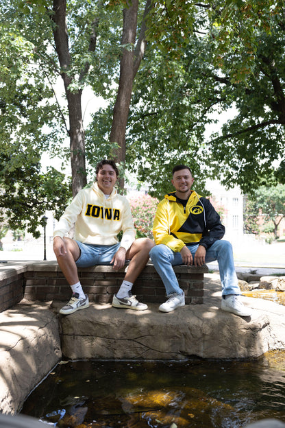 Iowa Hawkeyes Bone Chenille Pullover Hoodie