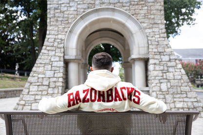 Arkansas Razorbacks Bone Chenille Pullover Hoodie